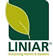 liniar-replacement-windows.jpg